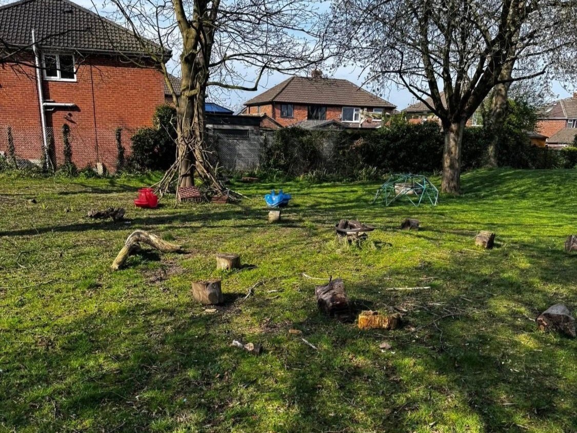 Children exploring the woodland area